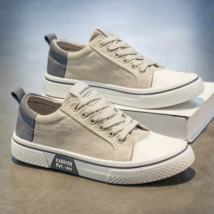 Drayton Street Trainers
